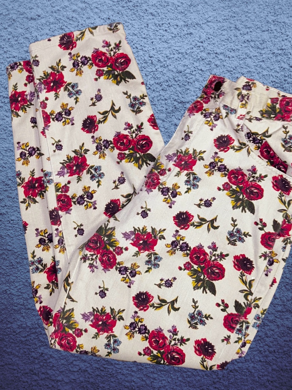 Gitano ~ Women’s 8 (26/28) ~ USA ~ Vintage ~ Beige W/ Red Floral DenimJeans
